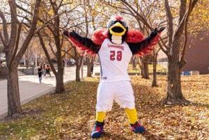 Rowdy throwing fall leaves.